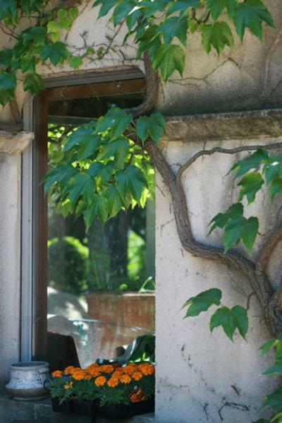 Mas De L'Ermitage Bed and Breakfast Lattes Buitenkant foto